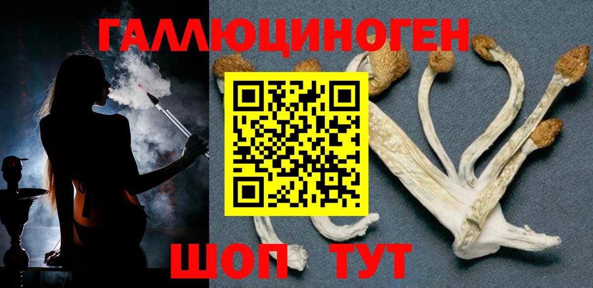 Псилоцибиновые грибы Cubensis Камышлов